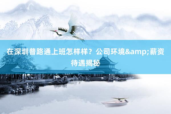 在深圳普路通上班怎样样?公司环境&薪资待遇揭秘